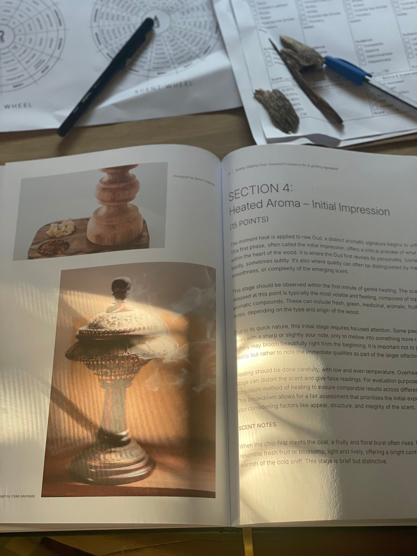 Oud Quality Grading Framework — Mastering the Art of Assessing Raw Agarwood and Oud Oil
