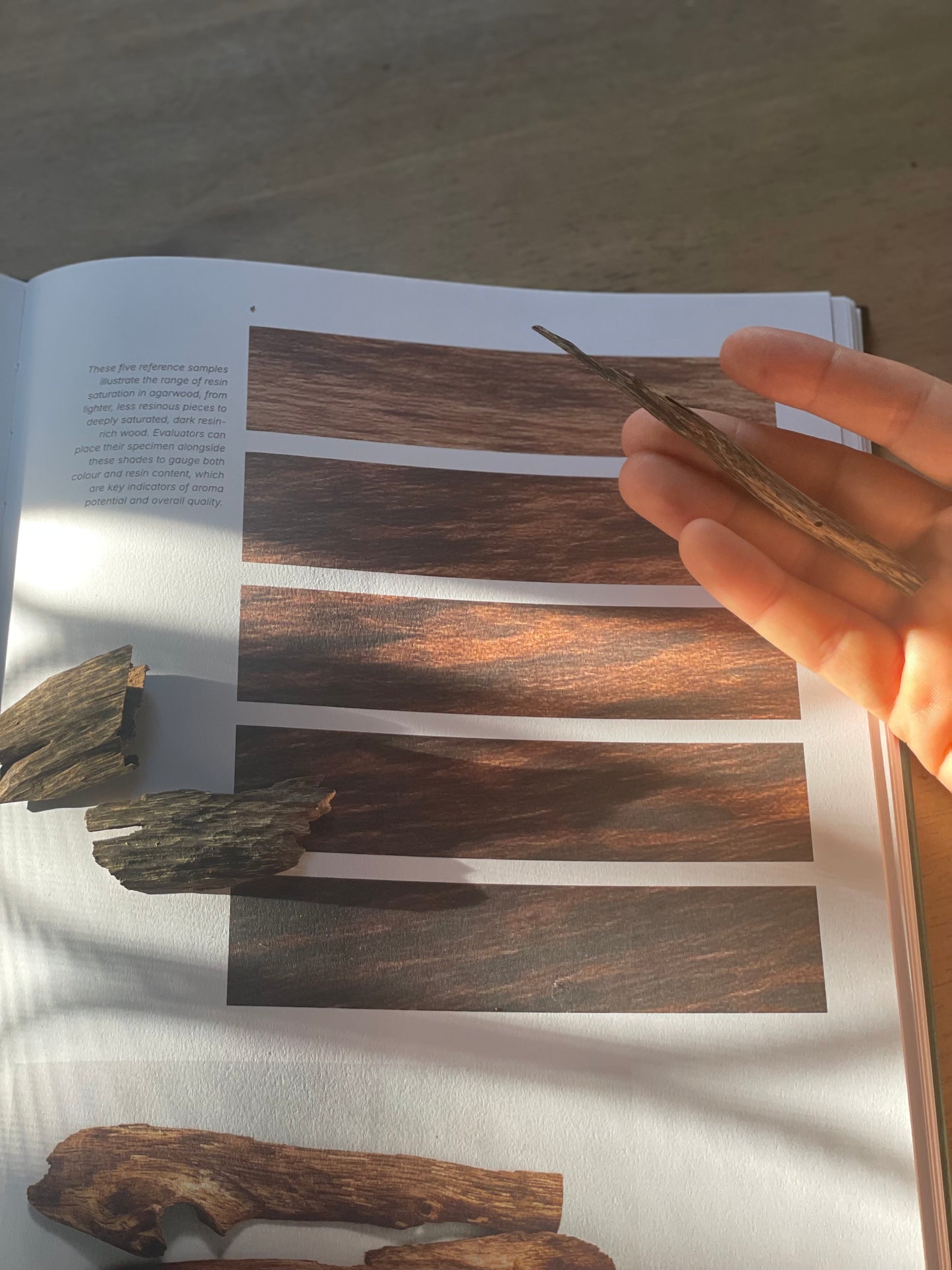 Oud Quality Grading Framework — Mastering the Art of Assessing Raw Agarwood and Oud Oil
