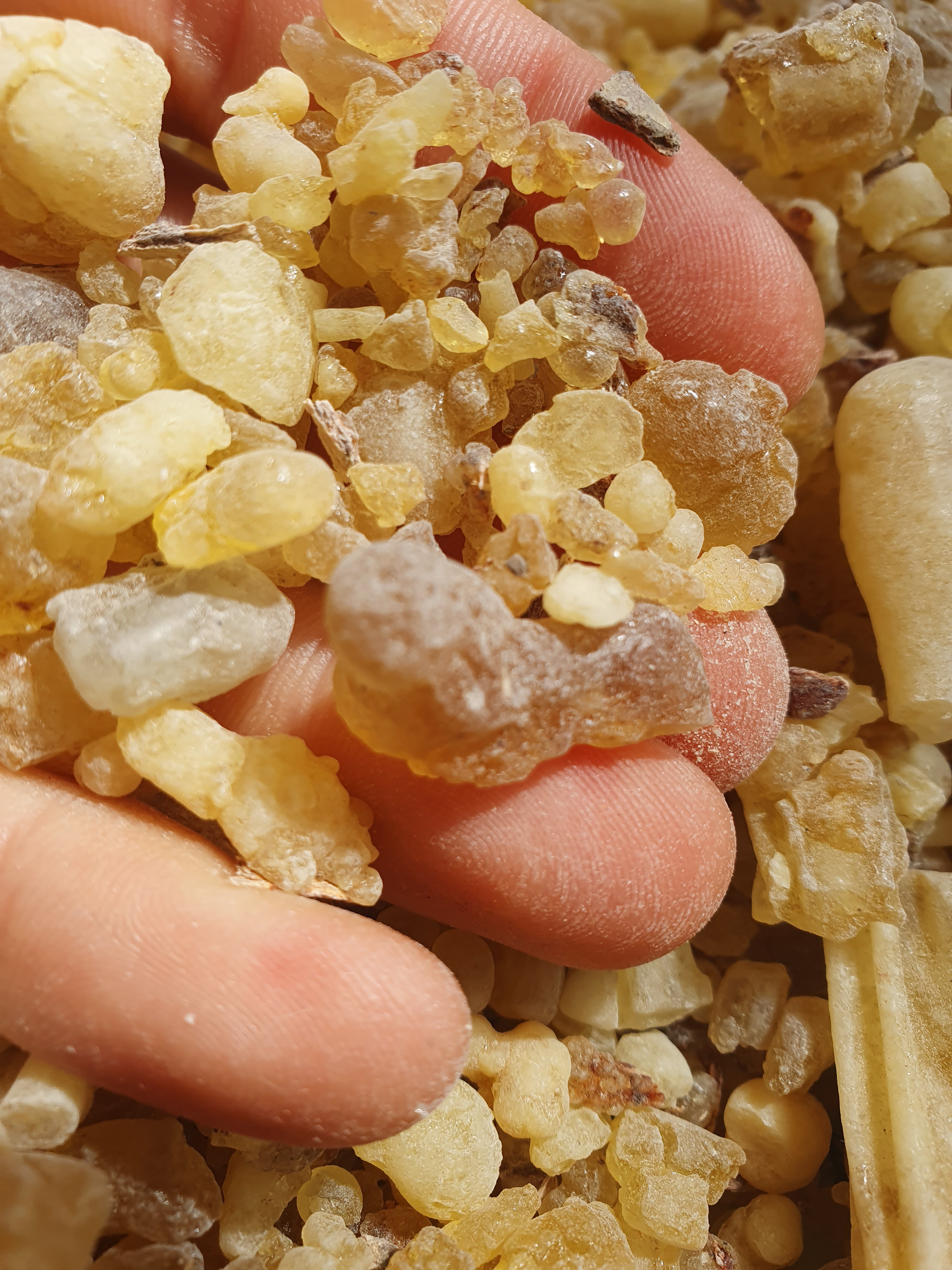 Frankincense